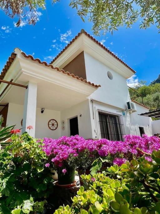 فيلا Casa La Roca إل جاستور المظهر الخارجي الصورة